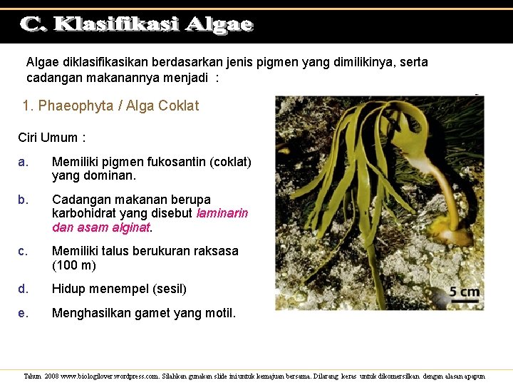 Algae diklasifikasikan berdasarkan jenis pigmen yang dimilikinya, serta cadangan makanannya menjadi : 1. Phaeophyta