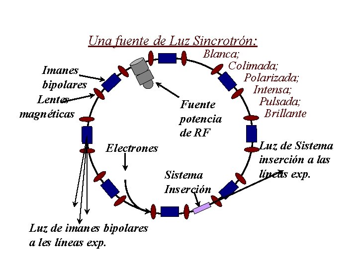 Una fuente de Luz Sincrotrón: Imanes bipolares Lentes magnéticas Blanca; Colimada; Polarizada; Intensa; Pulsada;