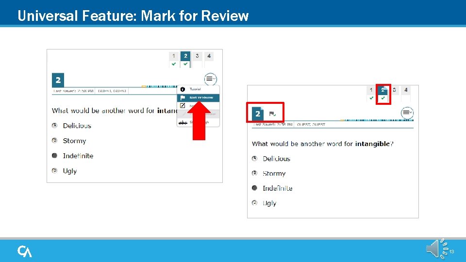Universal Feature: Mark for Review 13 