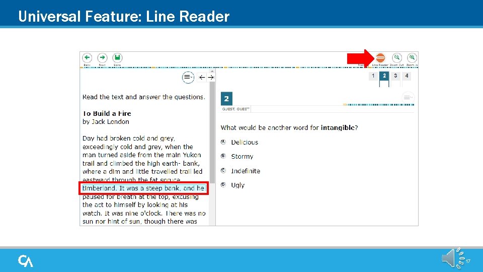 Universal Feature: Line Reader 17 