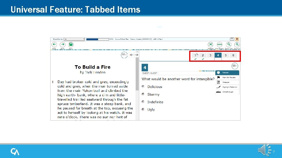 Universal Feature: Tabbed Items 7 