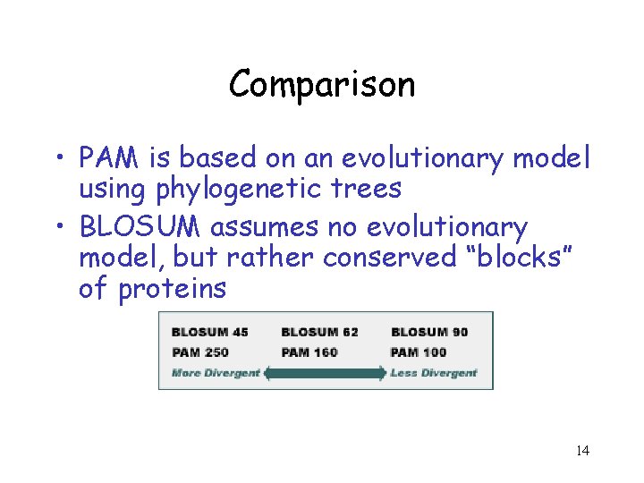 Comparison • PAM is based on an evolutionary model using phylogenetic trees • BLOSUM