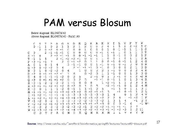 PAM versus Blosum Source: http: //www. csit. fsu. edu/~swofford/bioinformatics_spring 05/lectures/lecture 03 -blosum. pdf 17