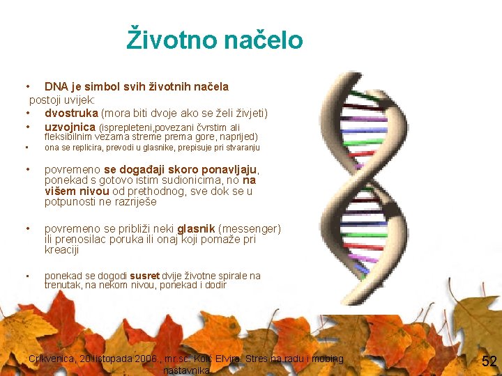 Životno načelo • DNA je simbol svih životnih načela postoji uvijek: • dvostruka (mora