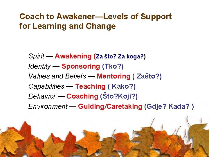 Coach to Awakener—Levels of Support for Learning and Change Spirit — Awakening (Za što?