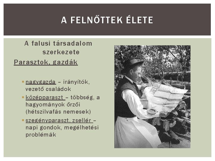 A FELNŐTTEK ÉLETE A falusi társadalom szerkezete Parasztok, gazdák § nagygazda – irányítók, vezető