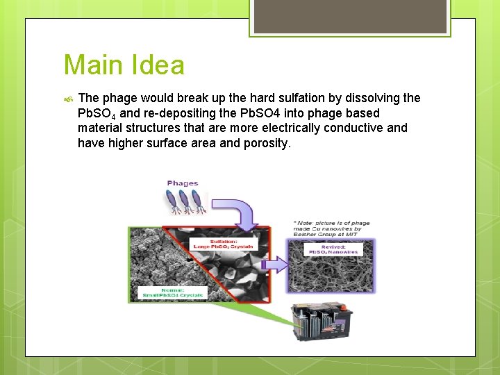 Main Idea The phage would break up the hard sulfation by dissolving the Pb.