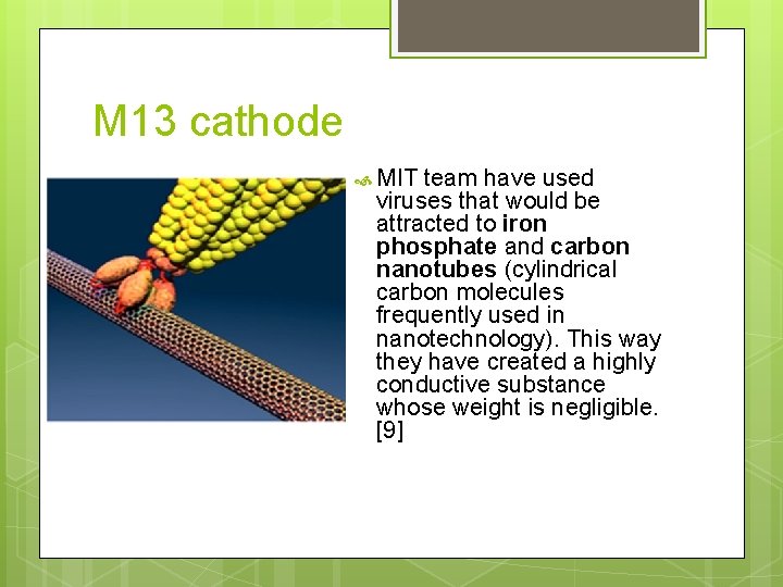 M 13 cathode MIT team have used viruses that would be attracted to iron