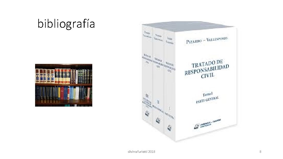 bibliografía silvina furlotti 2018 8 