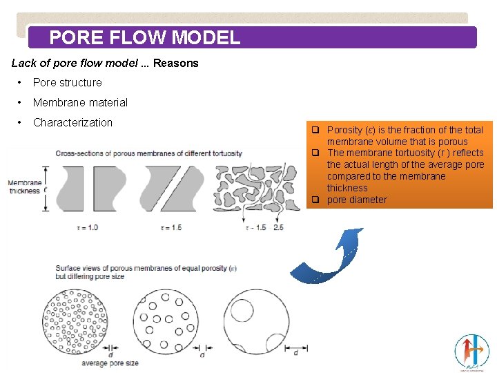 PORE FLOW MODEL Lack of pore flow model. . . Reasons • Pore structure