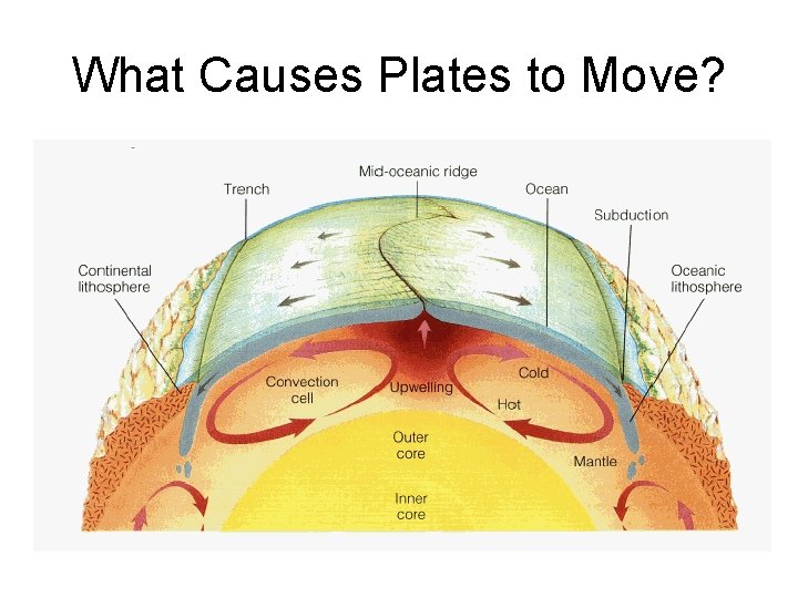 What Causes Plates to Move? 