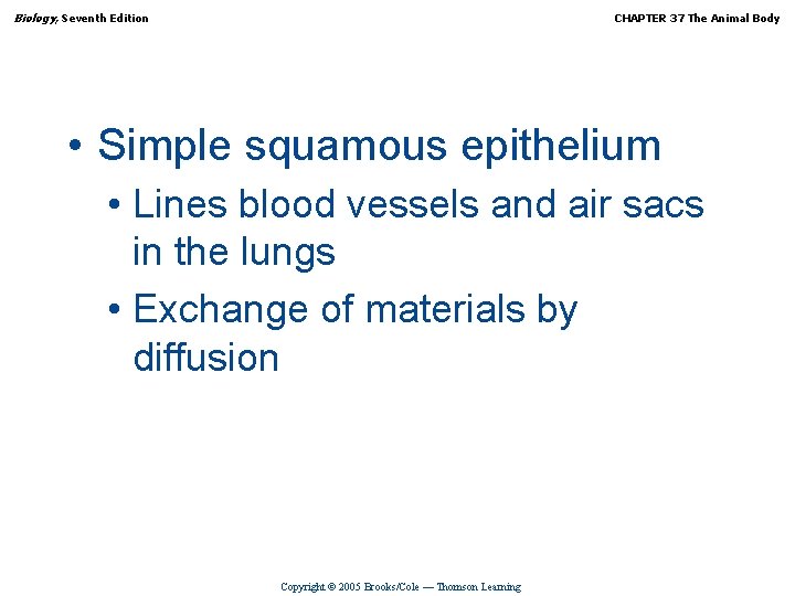 Biology, Seventh Edition CHAPTER 37 The Animal Body • Simple squamous epithelium • Lines