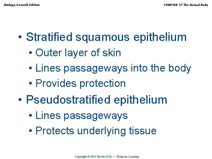 Biology, Seventh Edition CHAPTER 37 The Animal Body • Stratified squamous epithelium • Outer