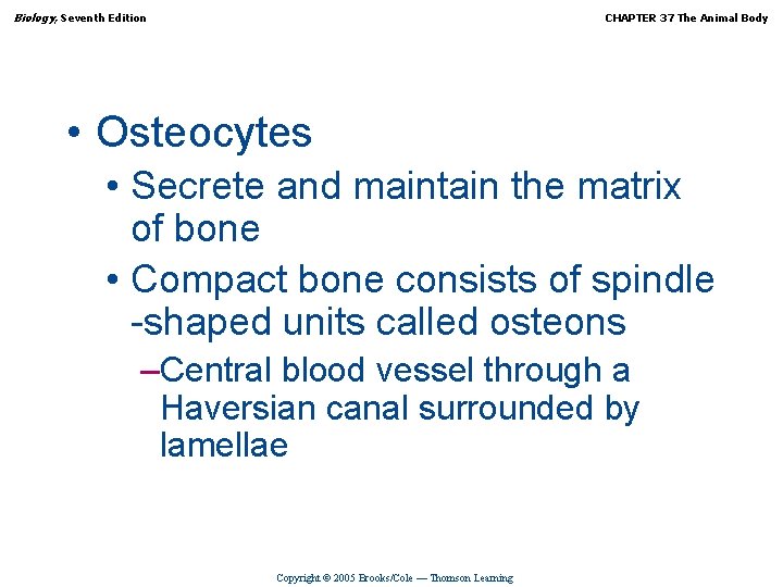 Biology, Seventh Edition CHAPTER 37 The Animal Body • Osteocytes • Secrete and maintain