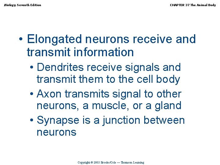 Biology, Seventh Edition CHAPTER 37 The Animal Body • Elongated neurons receive and transmit