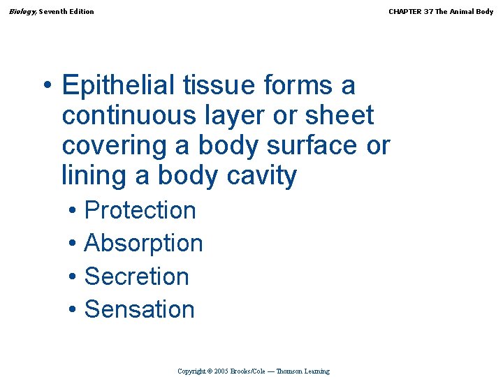 Biology, Seventh Edition CHAPTER 37 The Animal Body • Epithelial tissue forms a continuous
