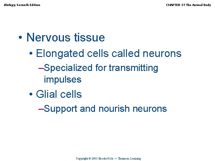 Biology, Seventh Edition CHAPTER 37 The Animal Body • Nervous tissue • Elongated cells