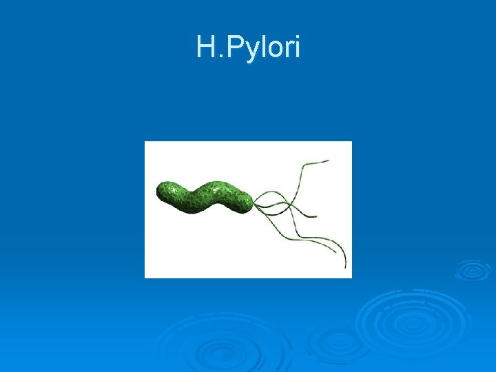 H. Pylori 