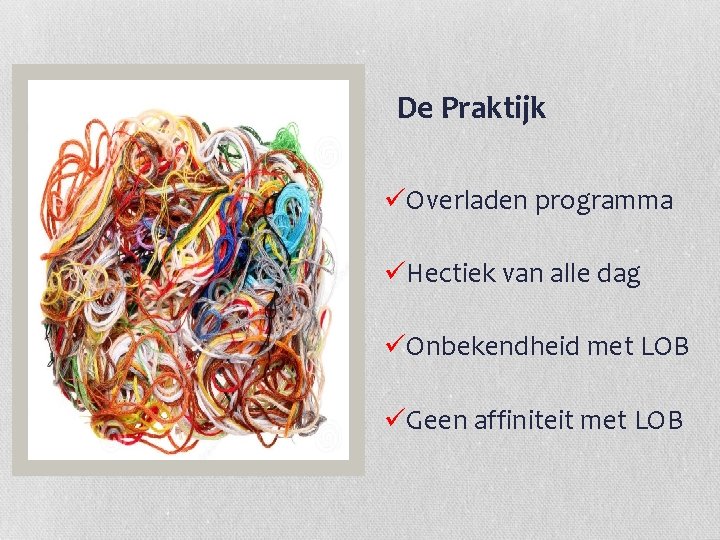 Lob als rode draad De Praktijk üOverladen programma üHectiek van alle dag üOnbekendheid met