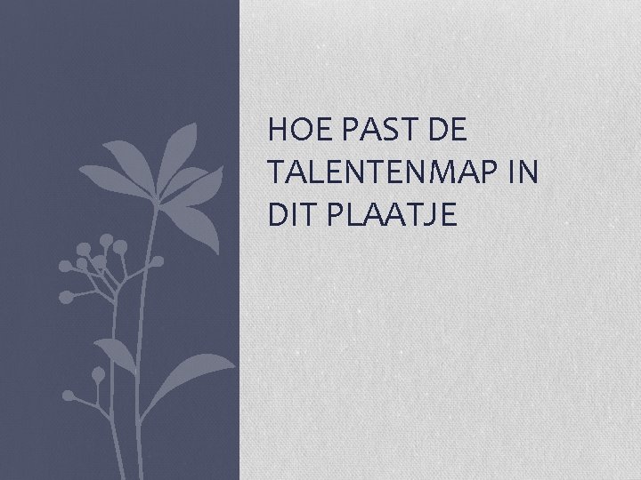 HOE PAST DE TALENTENMAP IN DIT PLAATJE 