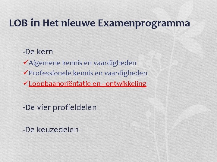 LOB in Het nieuwe Examenprogramma -De kern üAlgemene kennis en vaardigheden üProfessionele kennis en