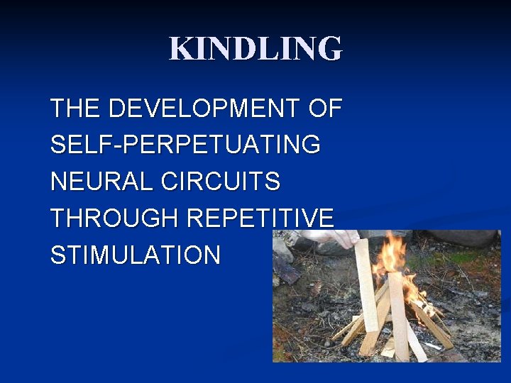 KINDLING THE DEVELOPMENT OF SELF-PERPETUATING NEURAL CIRCUITS THROUGH REPETITIVE STIMULATION 