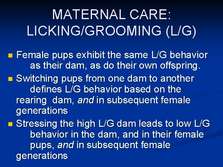 MATERNAL CARE: LICKING/GROOMING (L/G) Female pups exhibit the same L/G behavior as their dam,