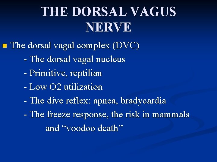 THE DORSAL VAGUS NERVE n The dorsal vagal complex (DVC) - The dorsal vagal