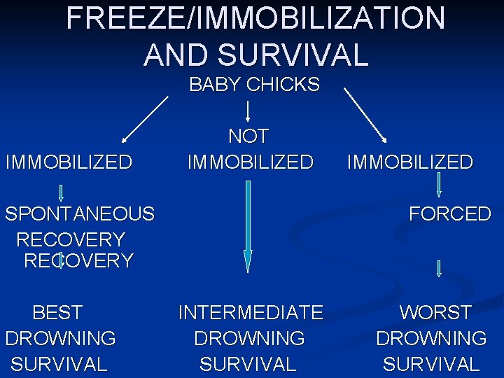 FREEZE/IMMOBILIZATION AND SURVIVAL BABY CHICKS NOT IMMOBILIZED SPONTANEOUS RECOVERY FORCED BEST INTERMEDIATE WORST DROWNING