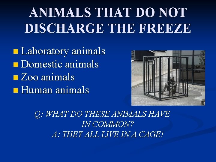 ANIMALS THAT DO NOT DISCHARGE THE FREEZE n Laboratory animals n Domestic animals n