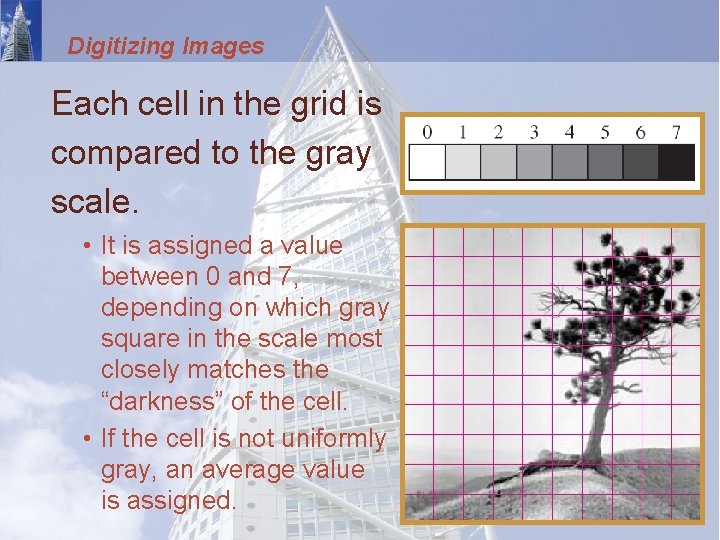 Digitizing Images Each cell in the grid is compared to the gray scale. •