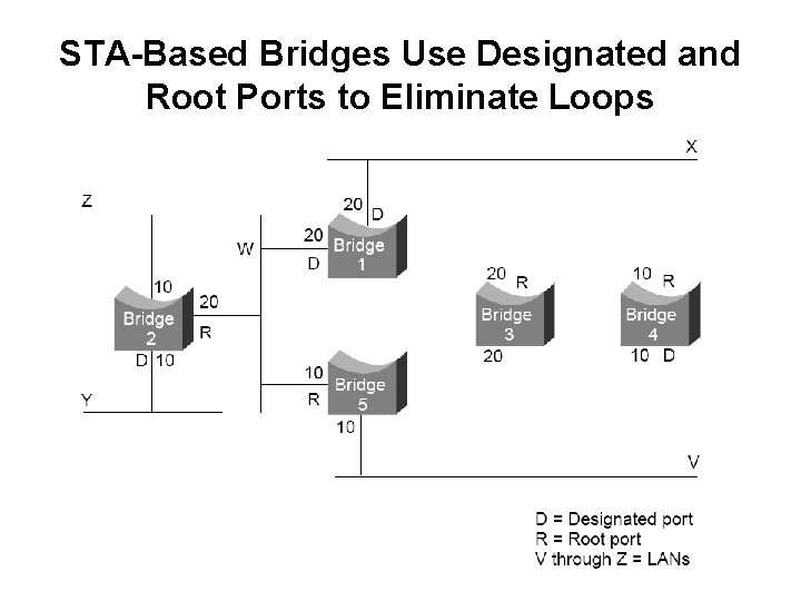 STA-Based Bridges Use Designated and Root Ports to Eliminate Loops 