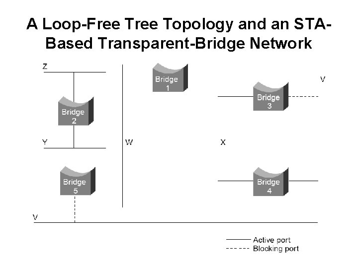 A Loop-Free Topology and an STABased Transparent-Bridge Network 