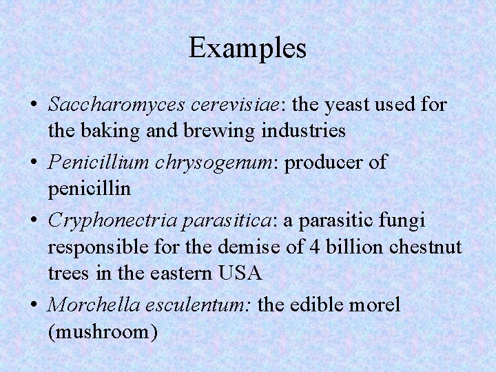 Examples • Saccharomyces cerevisiae: the yeast used for the baking and brewing industries •