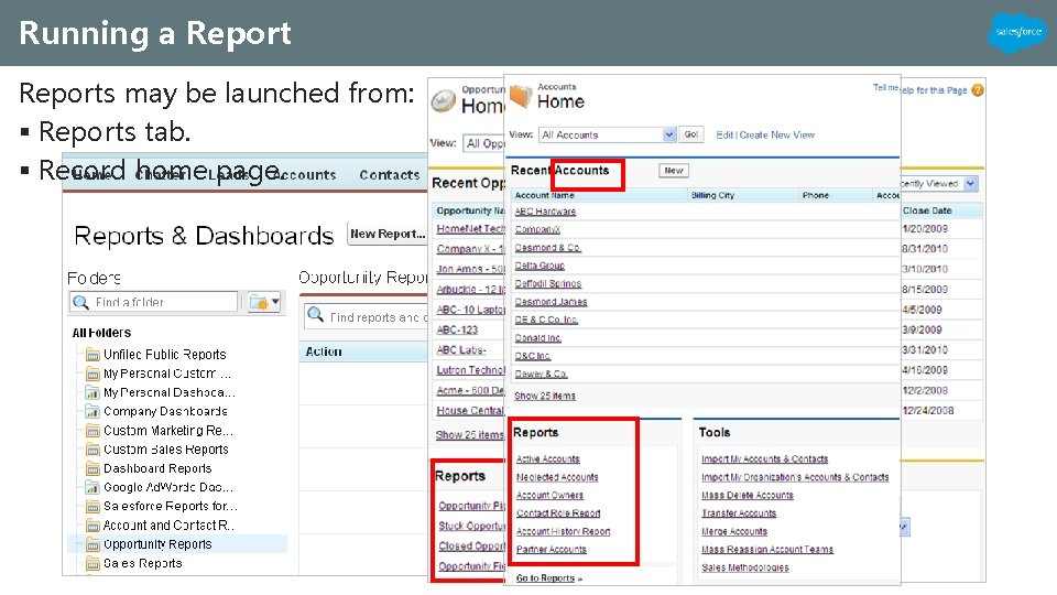 Running a Reports may be launched from: § Reports tab. § Record home page.