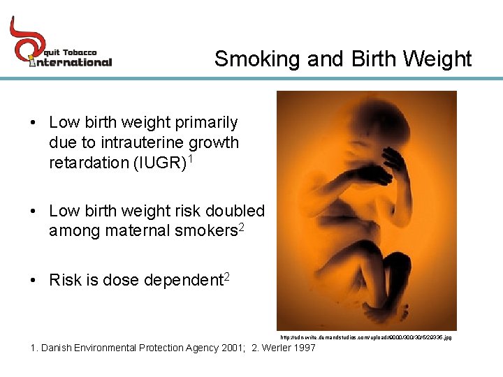 Smoking and Birth Weight • Low birth weight primarily due to intrauterine growth retardation