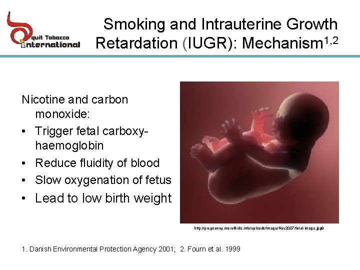 Smoking and Intrauterine Growth Retardation (IUGR): Mechanism 1, 2 Nicotine and carbon monoxide: •