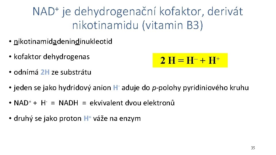 NAD+ je dehydrogenační kofaktor, derivát nikotinamidu (vitamin B 3) • nikotinamidadenindinukleotid • kofaktor dehydrogenas
