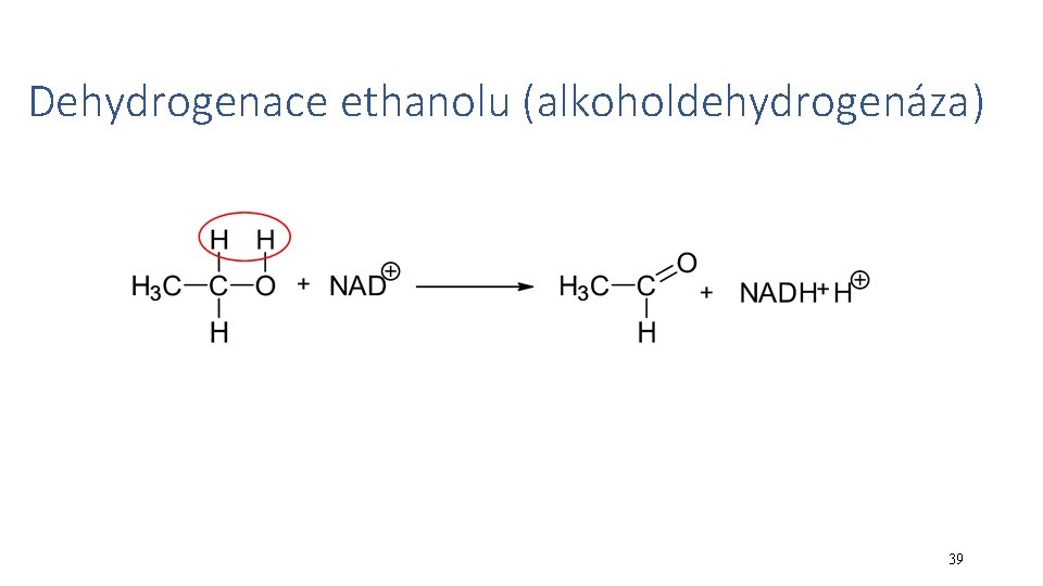 Dehydrogenace ethanolu (alkoholdehydrogenáza) 39 