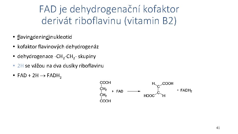 FAD je dehydrogenační kofaktor derivát riboflavinu (vitamin B 2) • flavinadenindinukleotid • kofaktor flavinových