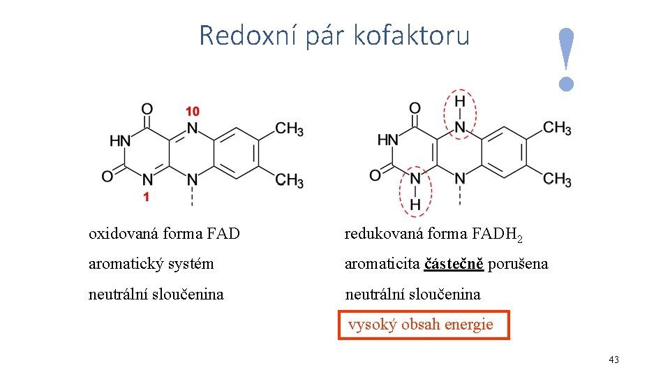 Redoxní pár kofaktoru oxidovaná forma FAD redukovaná forma FADH 2 aromatický systém aromaticita částečně