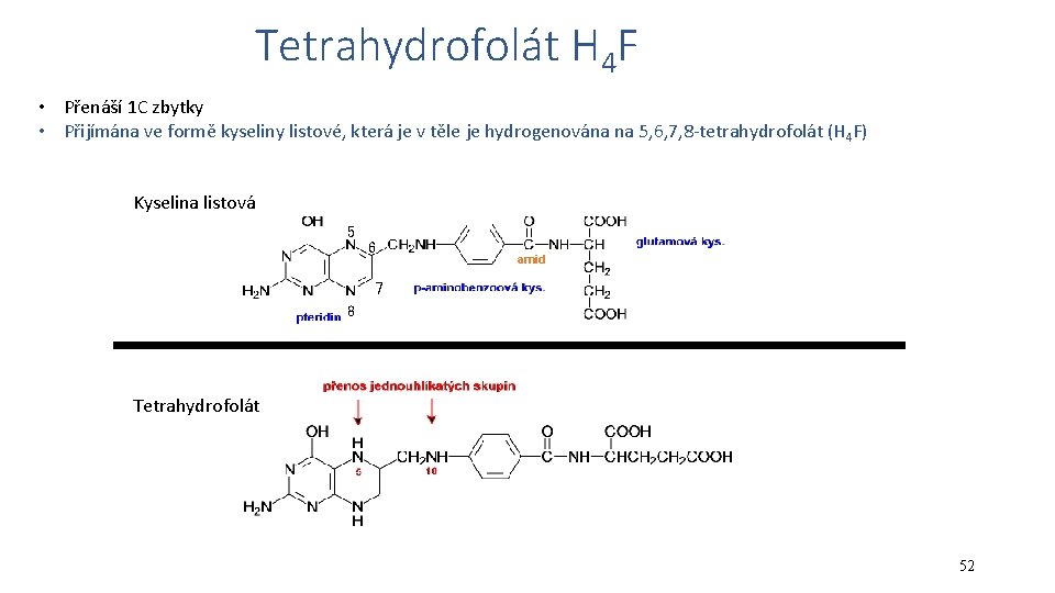 Tetrahydrofolát H 4 F • Přenáší 1 C zbytky • Přijímána ve formě kyseliny