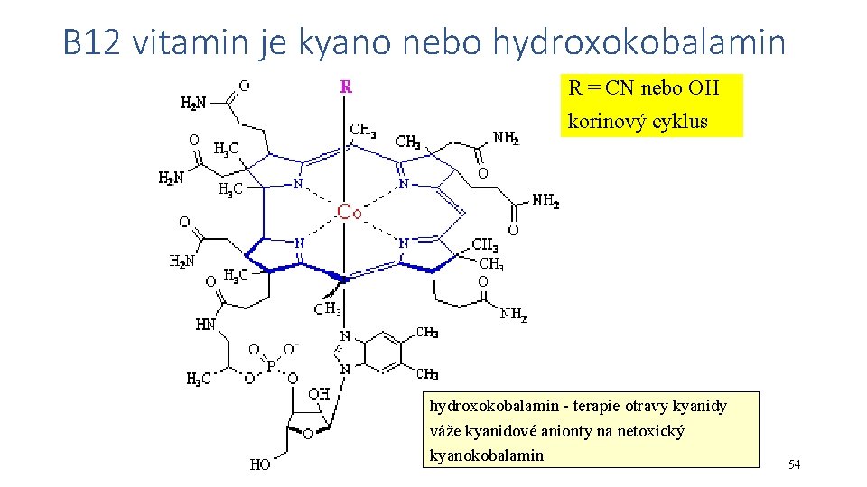 B 12 vitamin je kyano nebo hydroxokobalamin R = CN nebo OH korinový cyklus