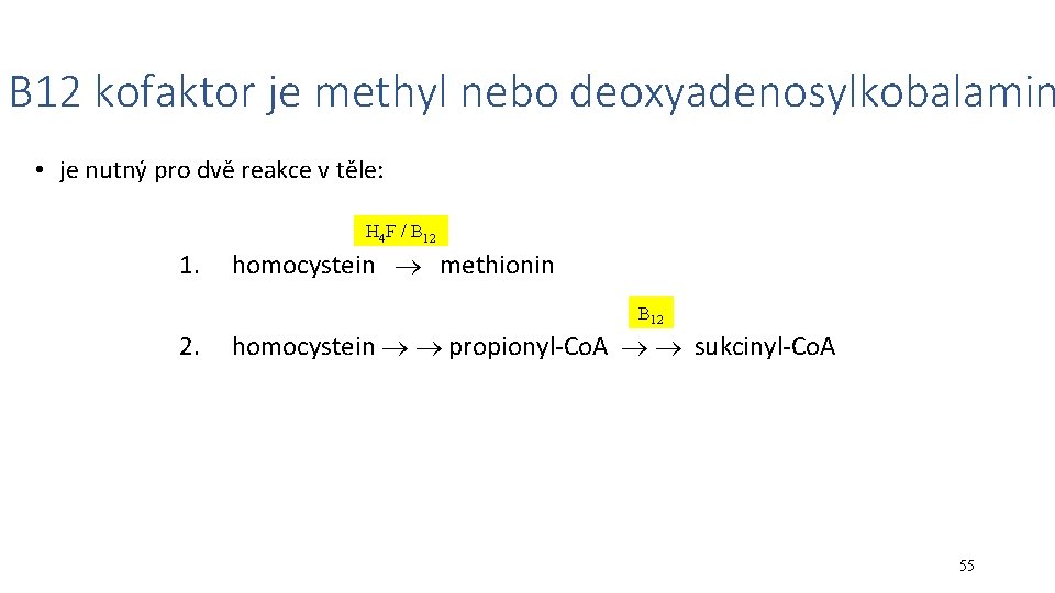 B 12 kofaktor je methyl nebo deoxyadenosylkobalamin • je nutný pro dvě reakce v