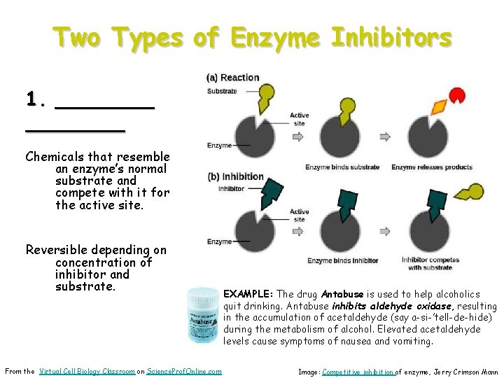 Two Types of Enzyme Inhibitors 1. ________ Chemicals that resemble an enzyme’s normal substrate