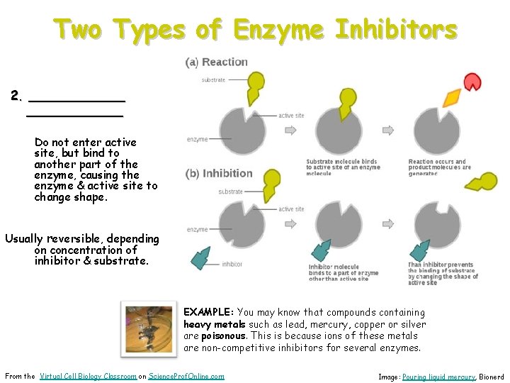 Two Types of Enzyme Inhibitors 2. ____________ Do not enter active site, but bind