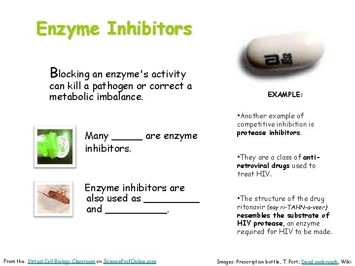 Enzyme Inhibitors Blocking an enzyme's activity can kill a pathogen or correct a metabolic