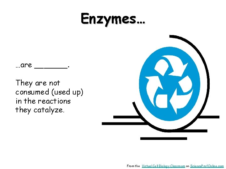 Enzymes… …are _______. They are not consumed (used up) in the reactions they catalyze.