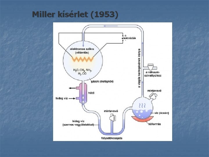 Miller kísérlet (1953) 