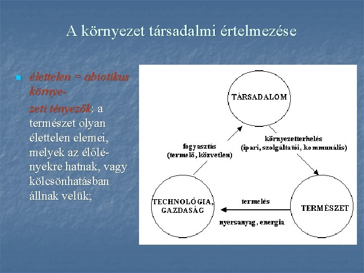 A környezet társadalmi értelmezése n élettelen = abiotikus környezeti tényezők: a természet olyan élettelen